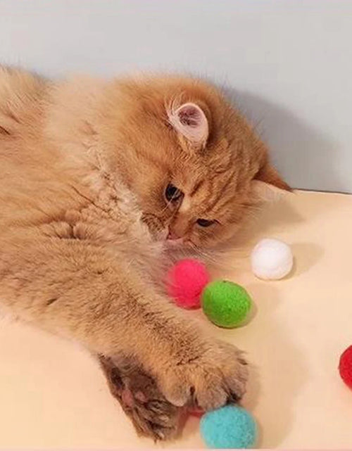 Load image into Gallery viewer, Cat Fetch Toys with Soft Pom Pom Balls for Kittens Interactive Plush Toy Balls for Kitten Training Chasing and Play
